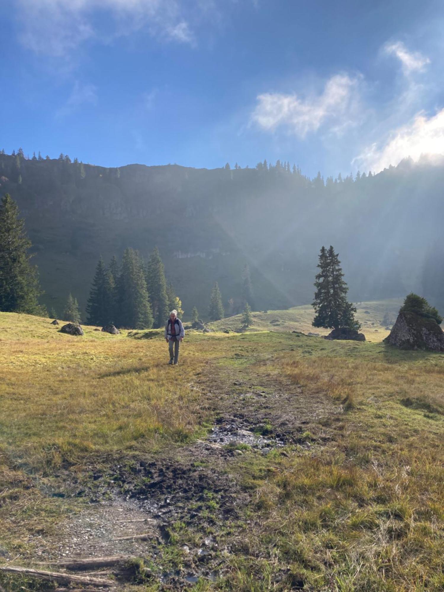 Das Gipfelstuermer-Nest Weiler-Simmerberg Esterno foto
